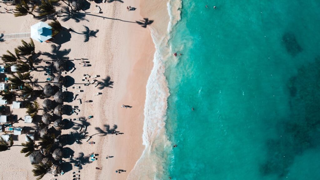 Widok z góry na plażę Punta Cana z turkusową wodą i palmami