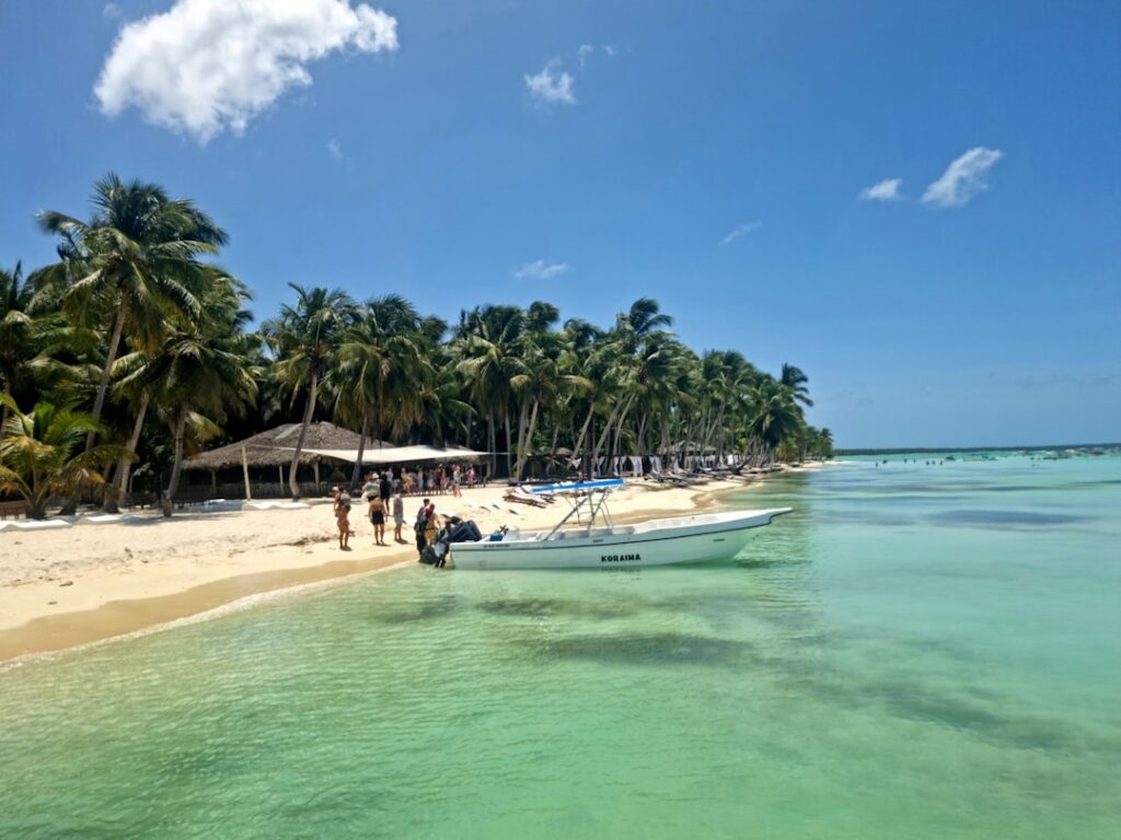 Rajska plaża na wyspie Saona z palmami i turkusowym morzem