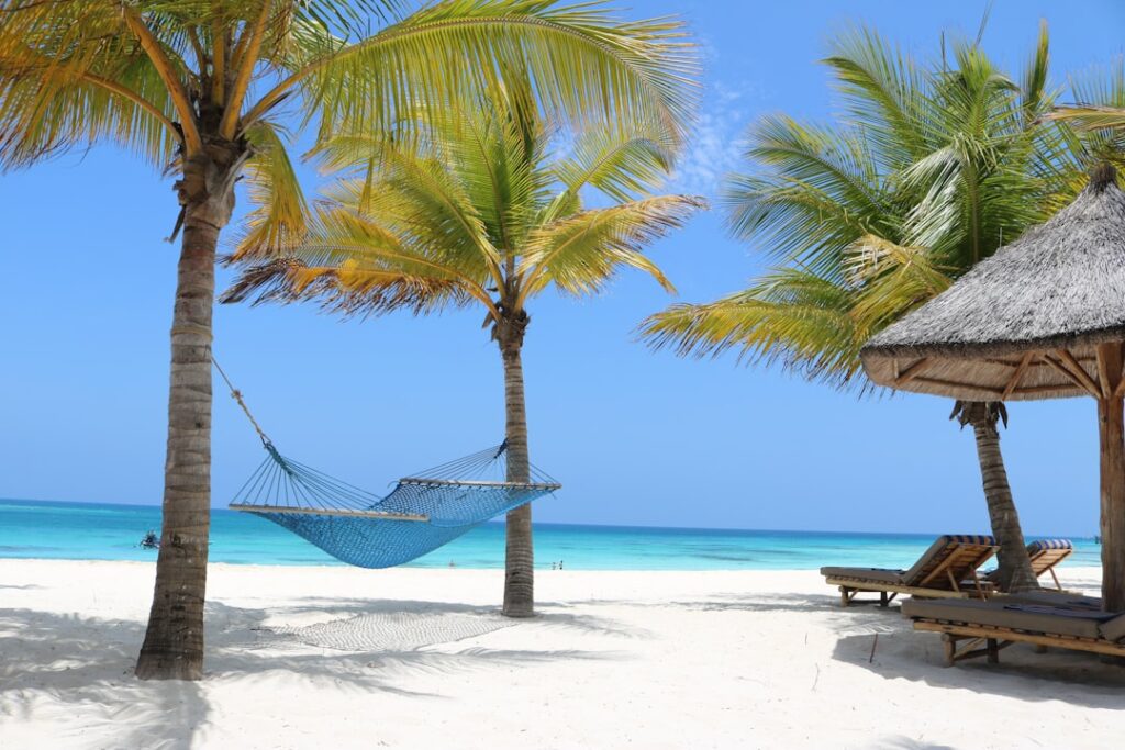 Zanzibar plaża z białym piaskiem i palmami przy turkusowym oceanie