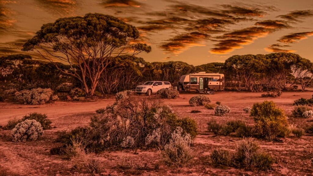 Krajobraz australijskiego outbacku o zachodzie słońca