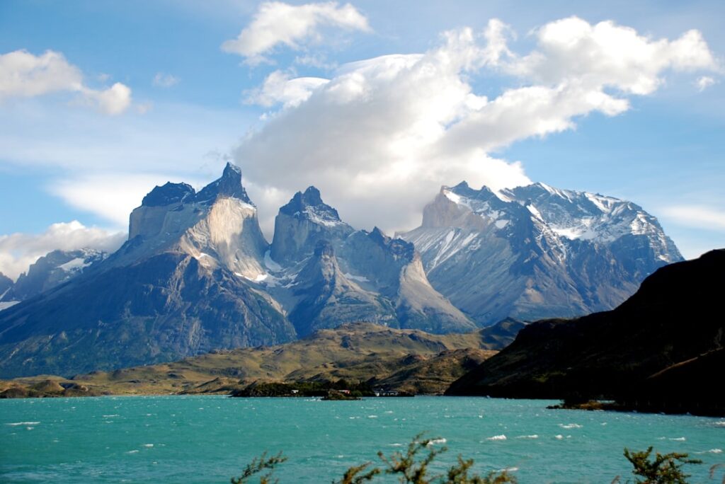 Guanako w Parku Narodowym Torres del Paine z majestatycznymi szczytami górskimi w tle