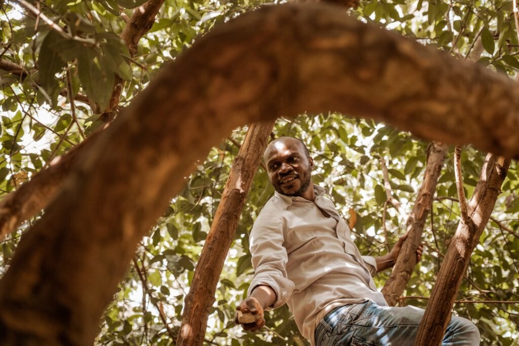 Plantacja bananowców na Zanzibarze