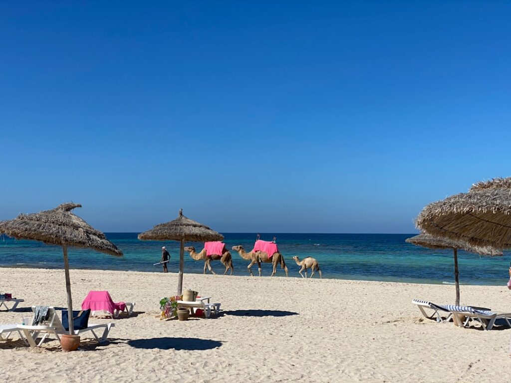 Piaszczysta plaża na Djerbie z leżakami i słomianym parasolem nad turkusowym morzem