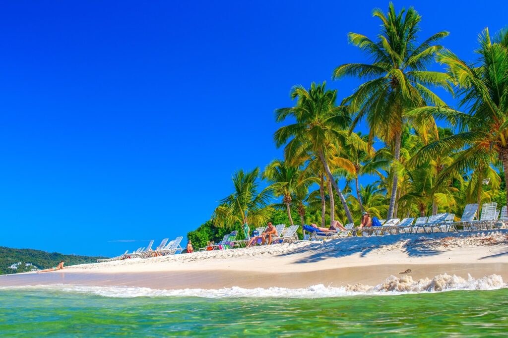 Plaża z palmami i błękitnym morzem w Dominikanie