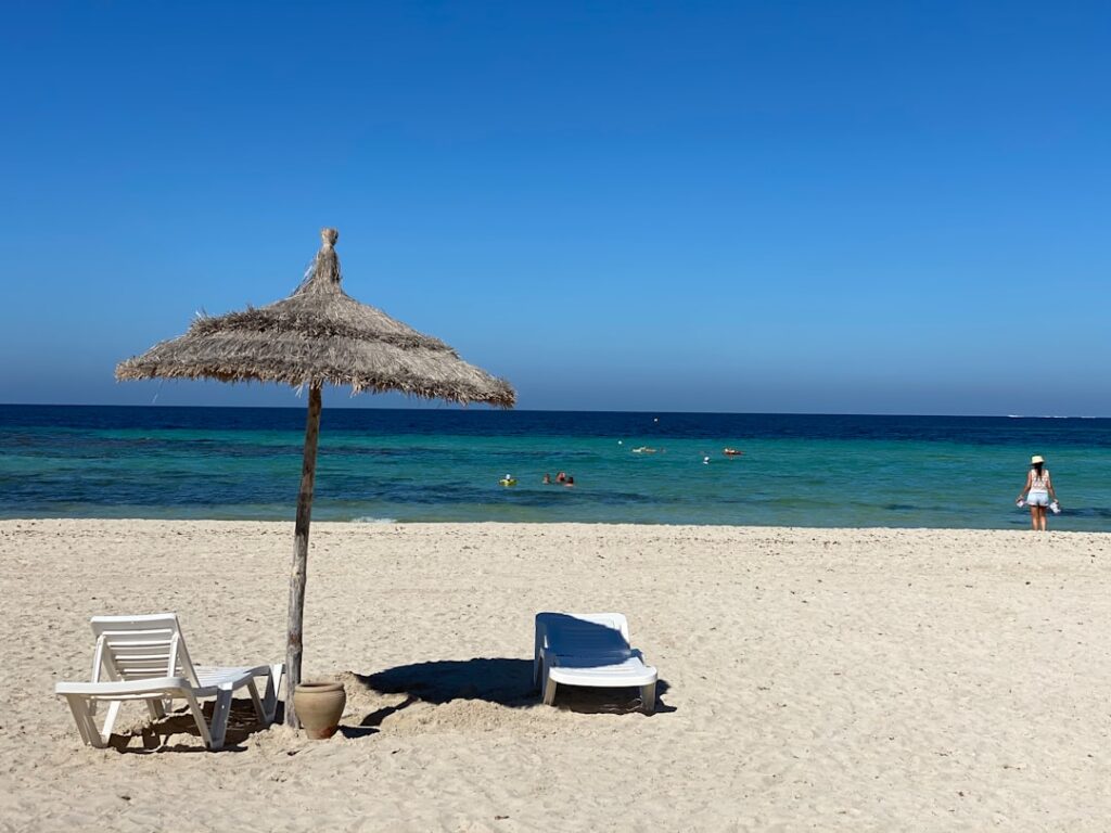Samotna palma na piaszczystej plaży Djerby z błękitnym niebem w tle