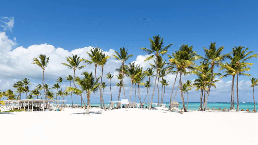 Tropikalna plaża Playa Juanillo w Dominikanie z białym piaskiem i palmami