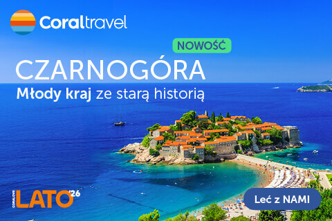 Google search engine