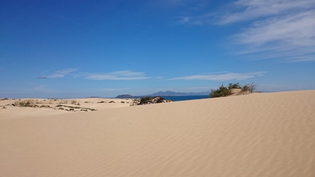 Plaża Corralejo na Fuerteventurze z jasnym piaskiem i błękitnym niebem – idealne miejsce na wakacje zimą