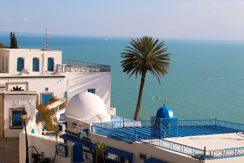 Białe domy z niebieskimi drzwiami w Sidi Bou Said, malowniczym miasteczku nad Morzem Śródziemnym w Tunezji