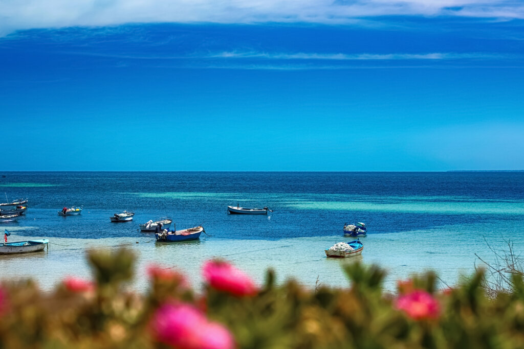 Djerba - tunezyjska wyspa słońca