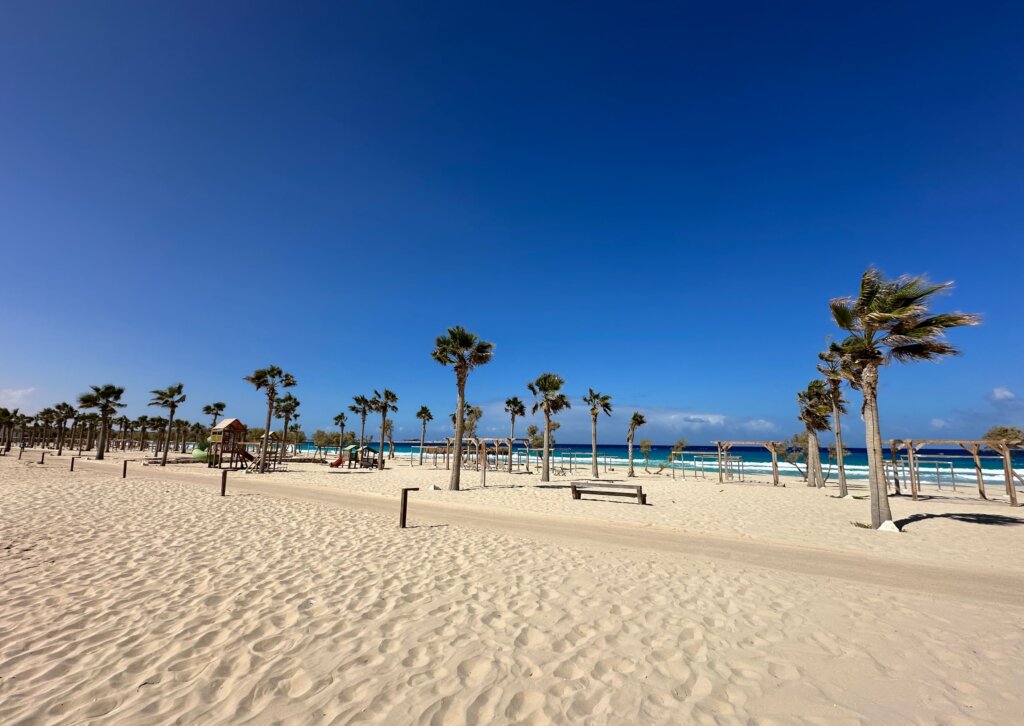 Jasna, piaszczysta plaża i palmy w Marsa Matruh przy Aqua Heneish Beach Resort w północnym Egipcie
