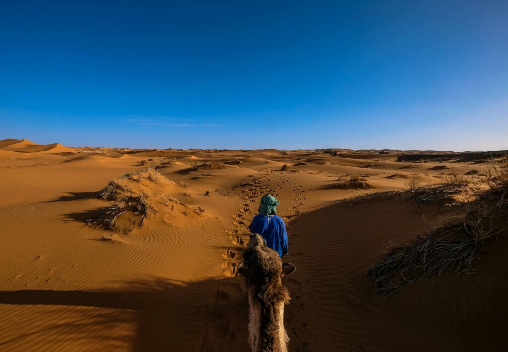 Karawana wielbłądów na pustyni Sahara w Tunezji – zorganizowane wycieczki i bezpieczne zwiedzanie kraju
