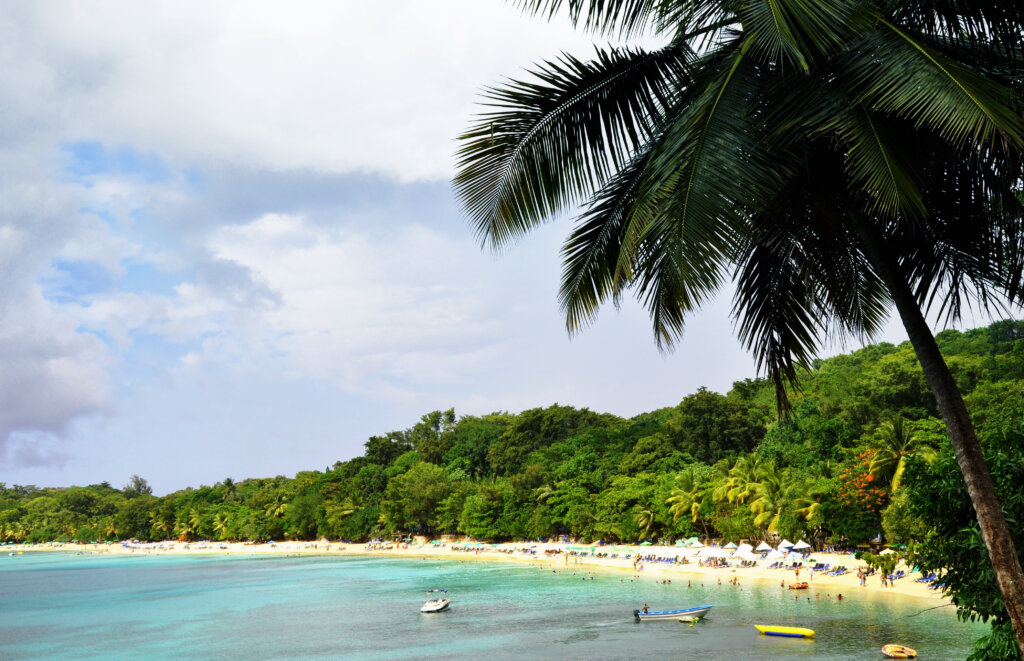 Plaża w Puerto Plata otoczona palmami i turkusowym morzem na Dominikanie