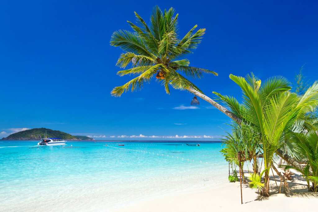 Plaża Playa del Carmen z białym piaskiem, palmami i turkusowym Morzem Karaibskim