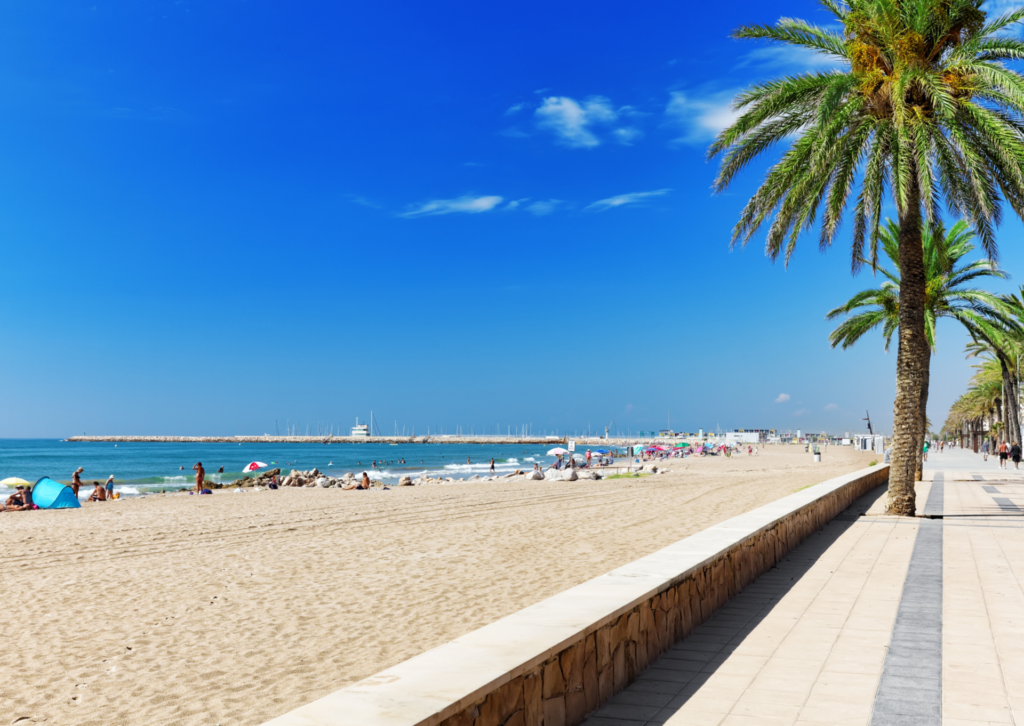 Szeroka piaszczysta plaża z palmami i promenadą na wybrzeżu Costa Barcelona w Hiszpanii