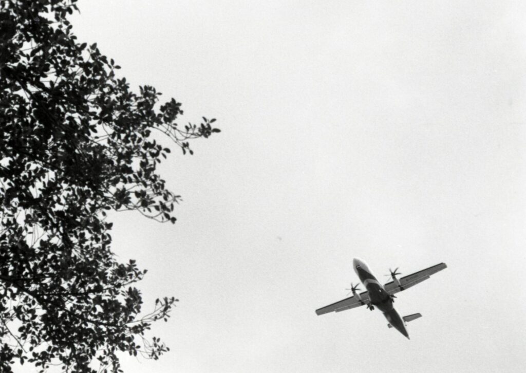 Samolot lecący nad drzewami, historia lotnictwa